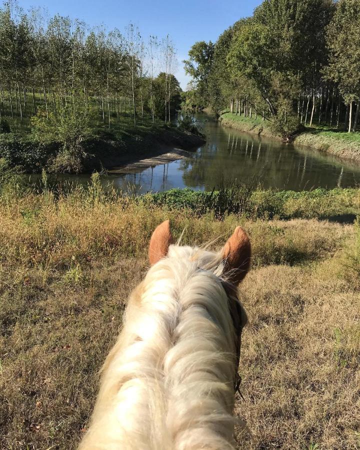 Agriturismo Tenuta "Il Cigno" Villanterio Екстер'єр фото