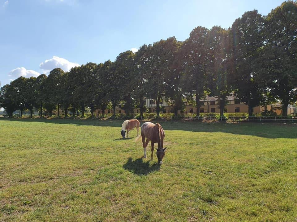 Agriturismo Tenuta "Il Cigno" Villanterio Екстер'єр фото