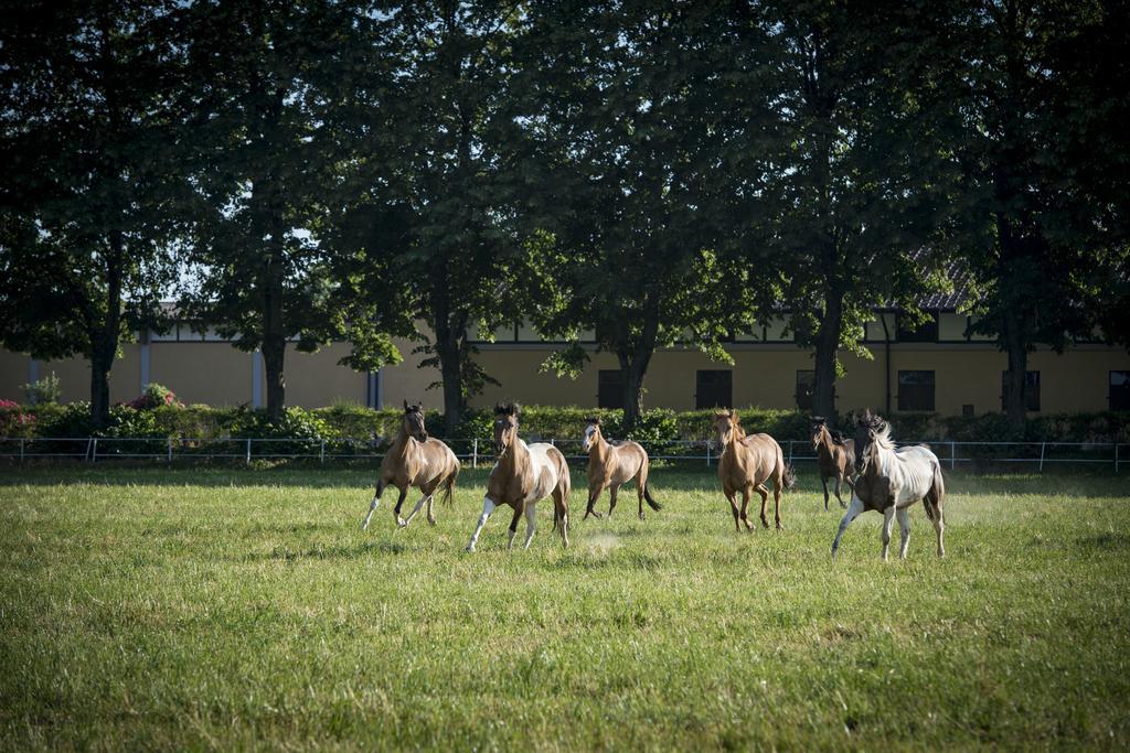 Agriturismo Tenuta "Il Cigno" Villanterio Екстер'єр фото