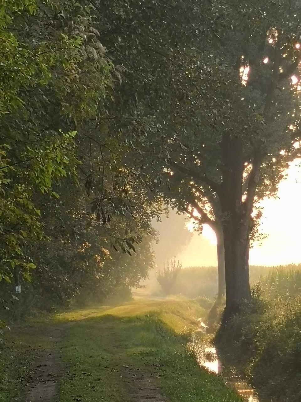 Agriturismo Tenuta "Il Cigno" Villanterio Екстер'єр фото