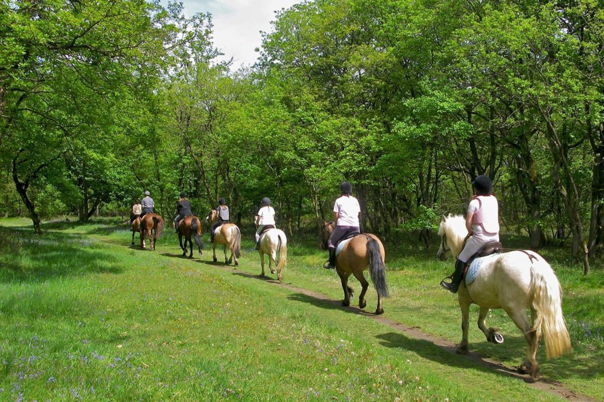 Agriturismo Tenuta "Il Cigno" Villanterio Екстер'єр фото