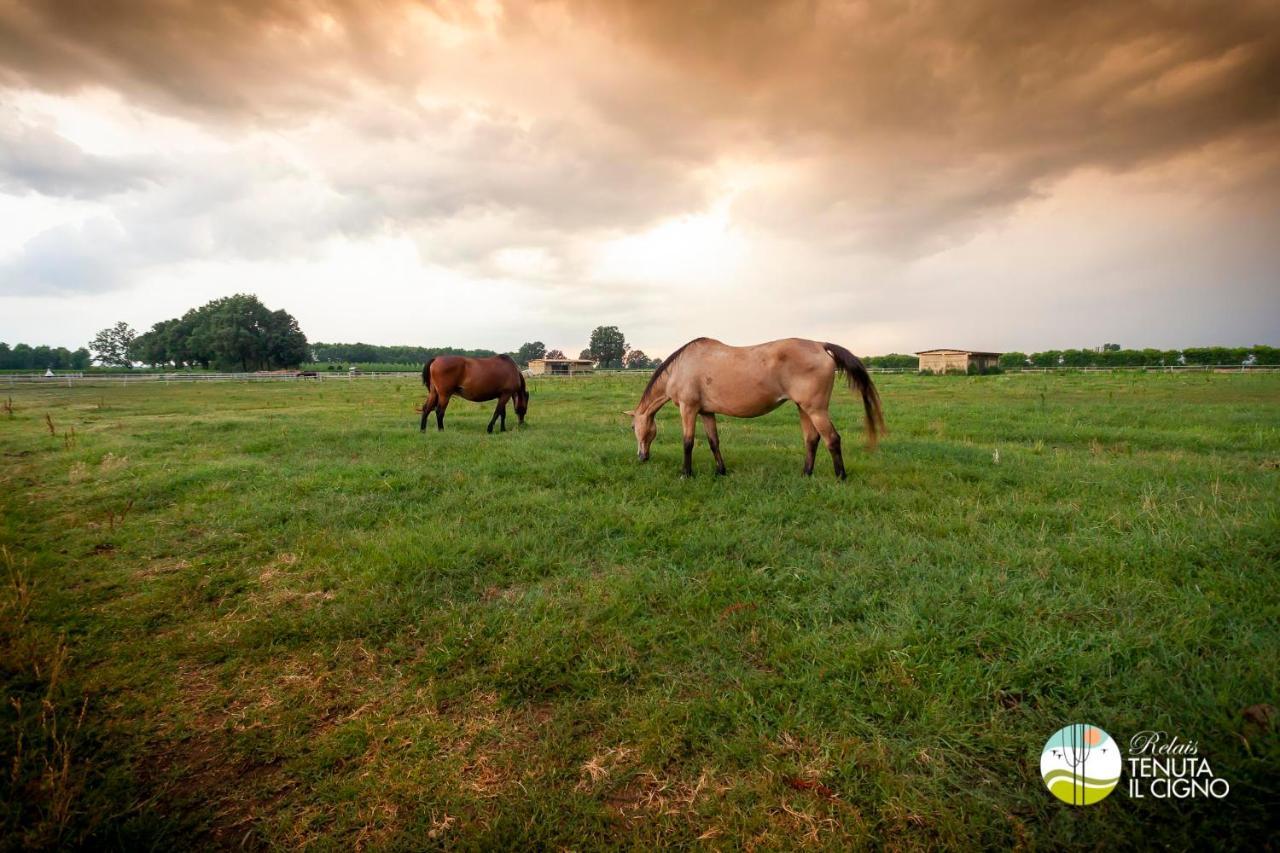 Agriturismo Tenuta "Il Cigno" Villanterio Екстер'єр фото