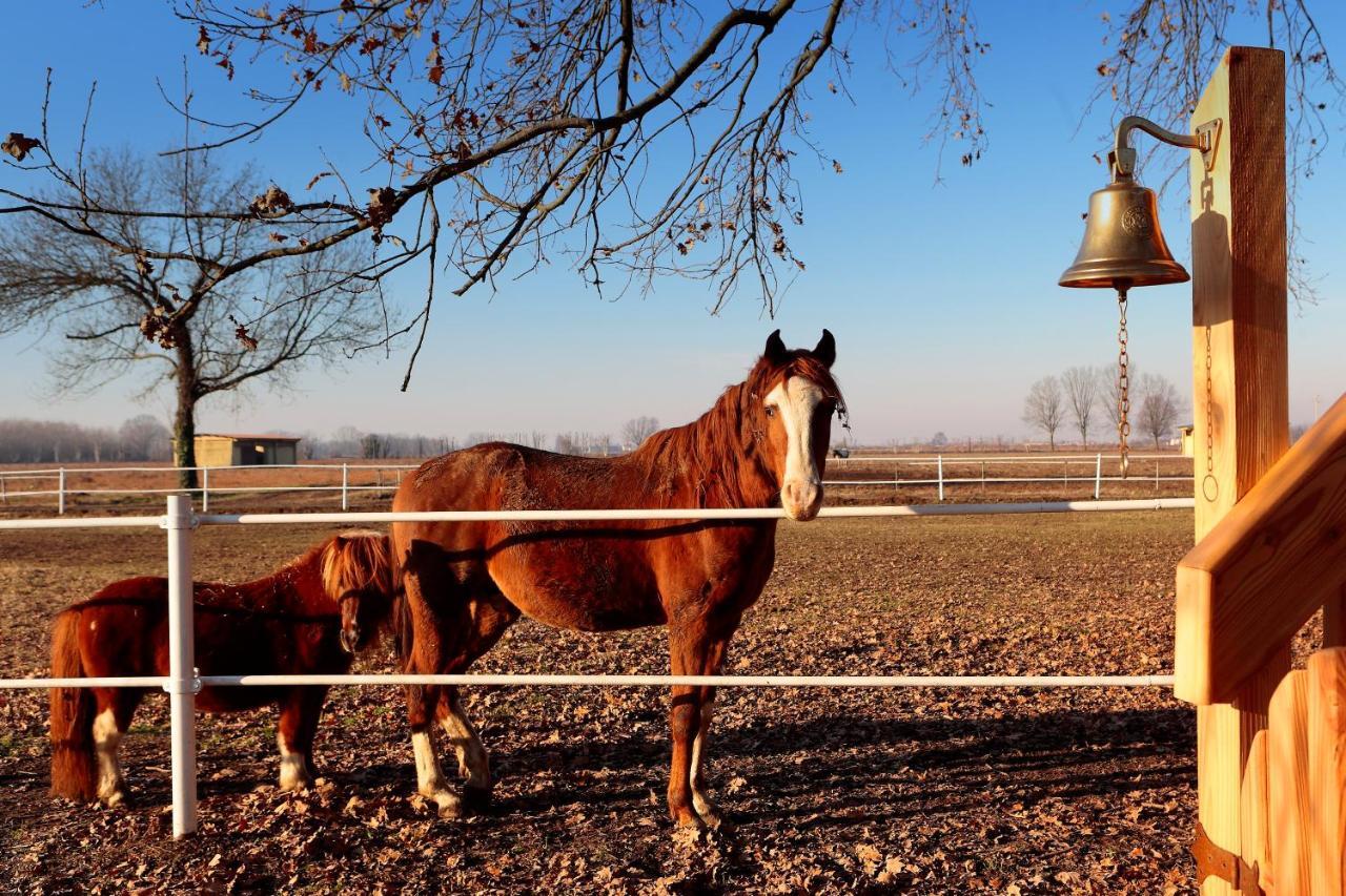 Agriturismo Tenuta "Il Cigno" Villanterio Екстер'єр фото